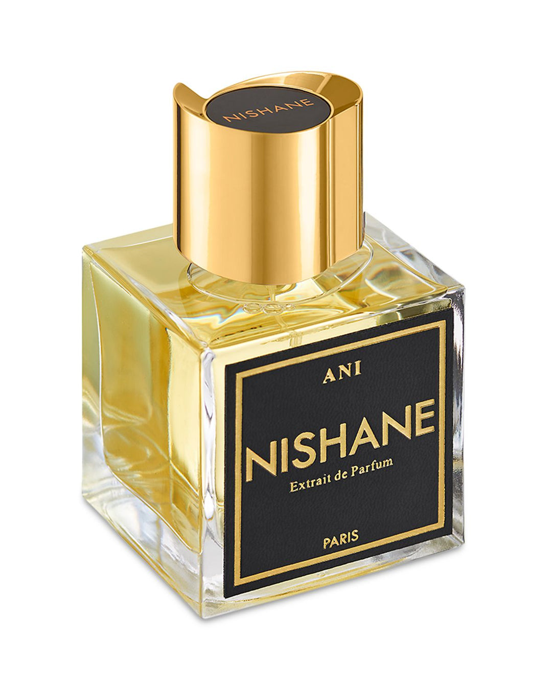 Nishane Ani Extrait de Parfum 100mL — original brand alternate bottle angle