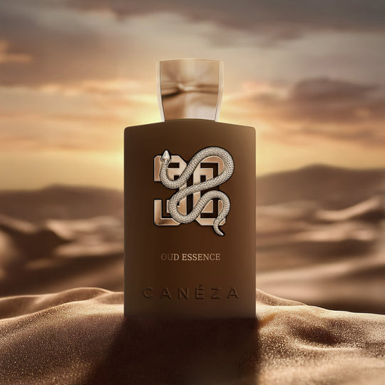 Oud Essence EDP official Canéza product image 2