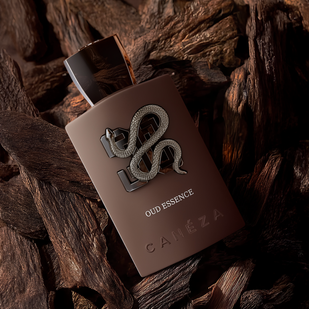 Oud Essence EDP official Canéza product image 3