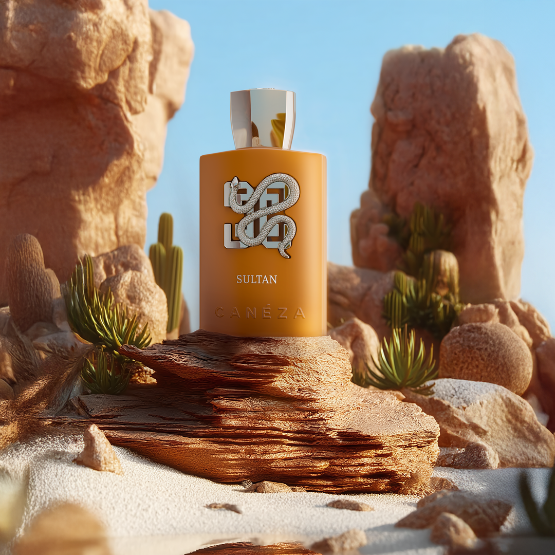Sultan EDP official Canéza product image 3