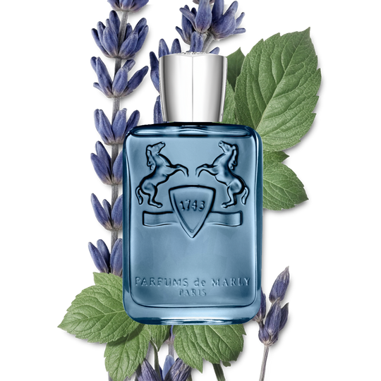 Sedley EDP for Men 125mL — original brand gallery image 3