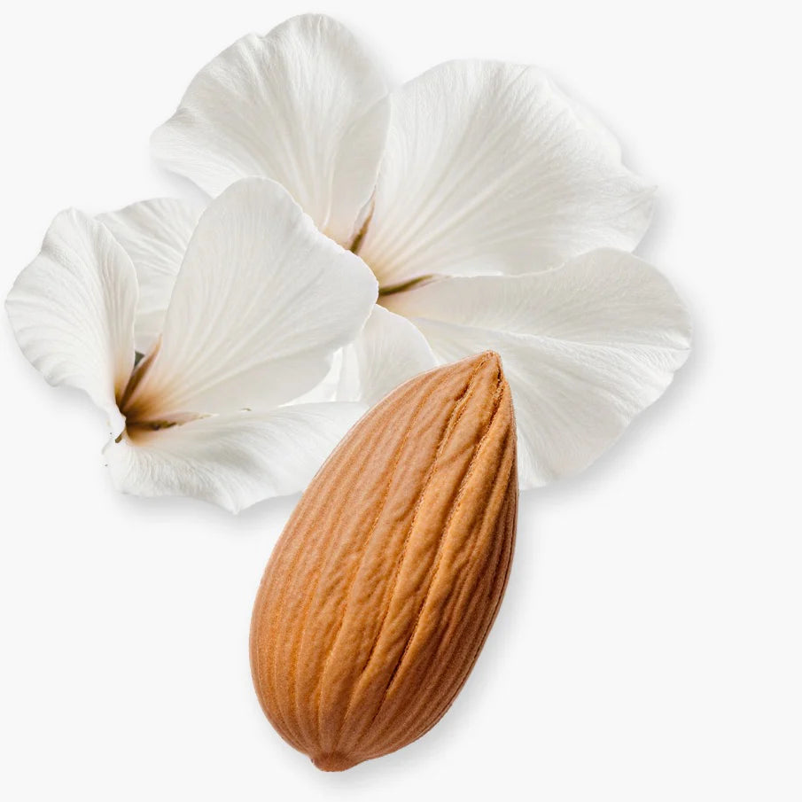 Valaya Exclusif EDP for Women - Wafa International