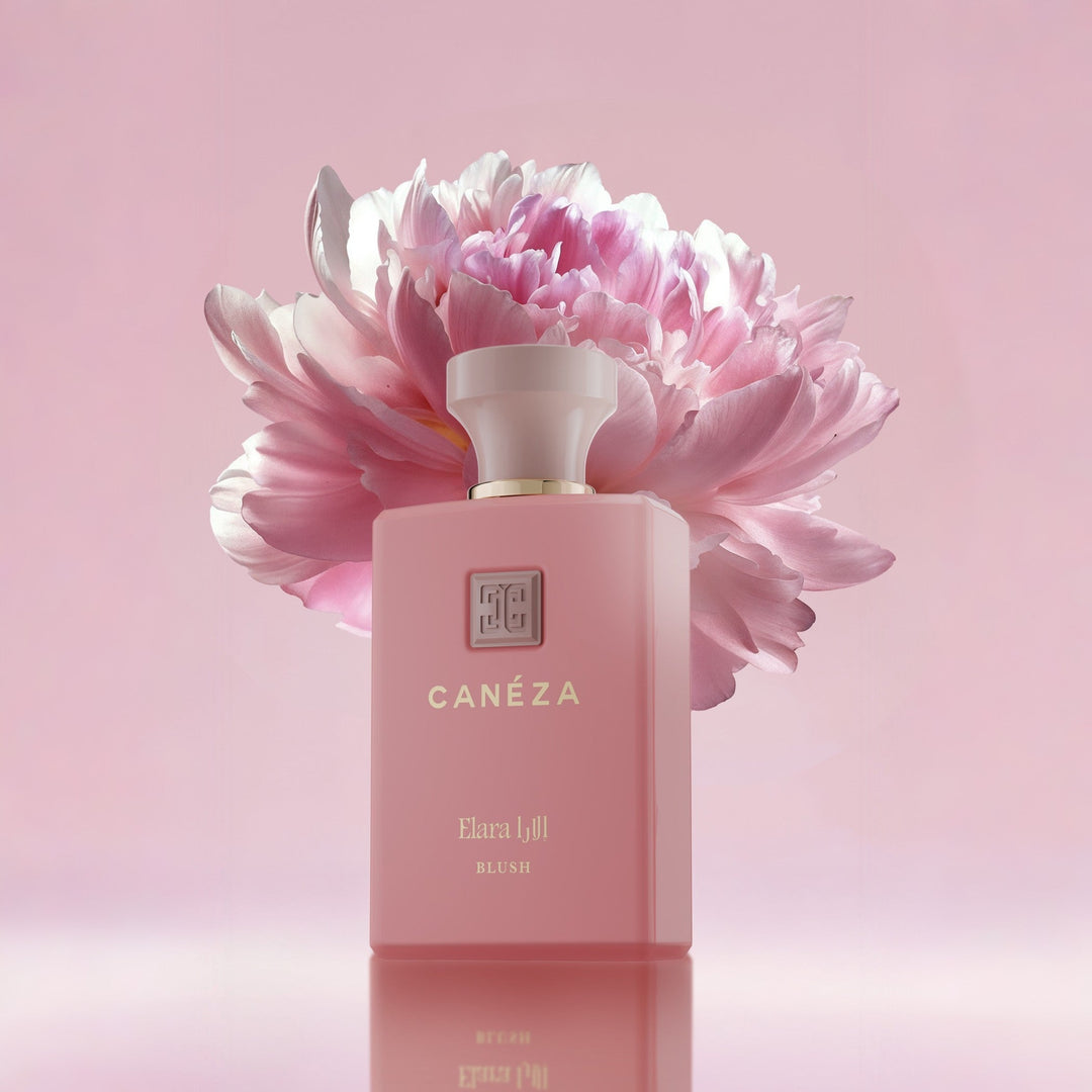 Elara Blush EDP for Women official Canéza product image 3