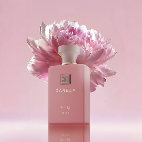 Elara Blush EDP for Women official Canéza product image 3