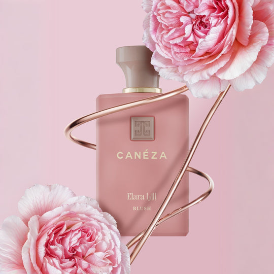 Elara Blush EDP for Women official Canéza product image 2