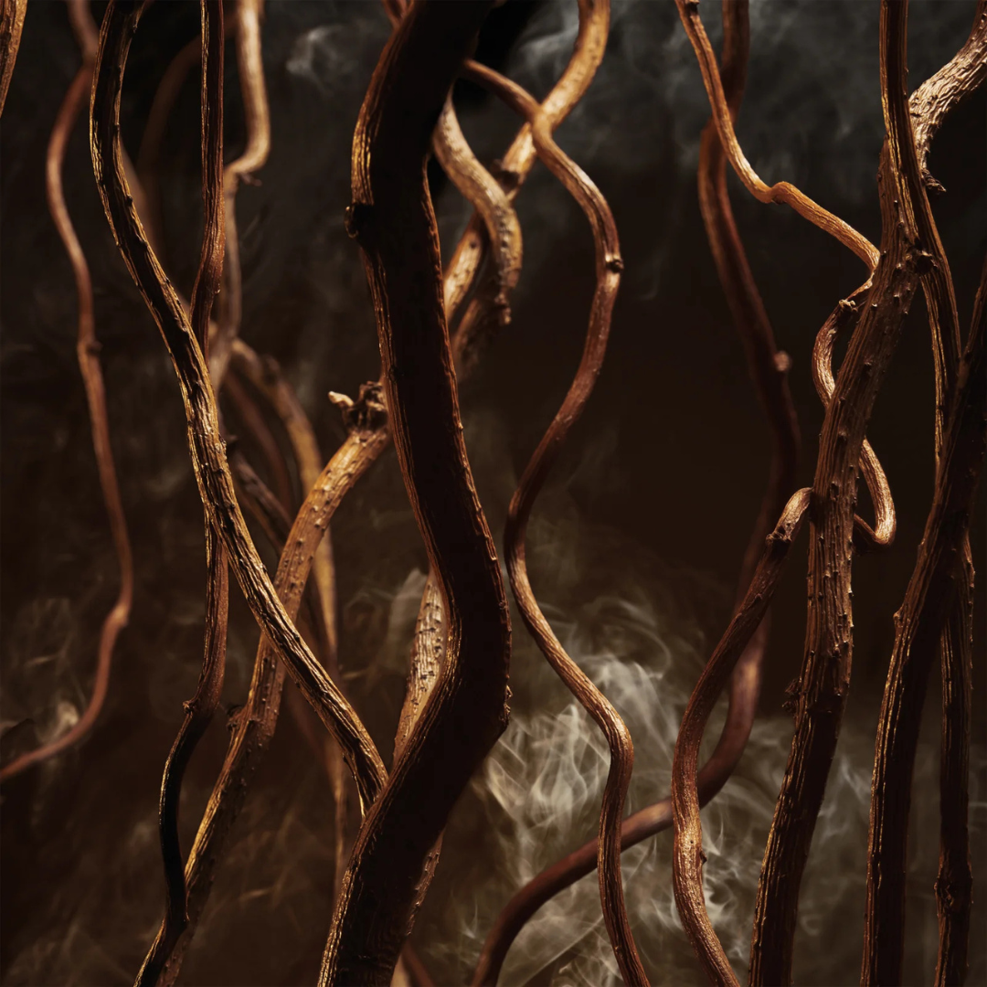 Hugo Boss Bottled Elixir Parfum Intense for Men - Wafa International