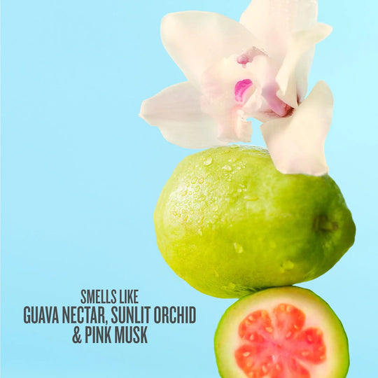 Sol de Janeiro Cheirosa 48 Perfume Mist fragrance and body care details